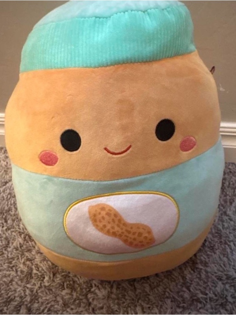 Squishmallow Plush Peanut Character Soft Toy in Mint and Tan